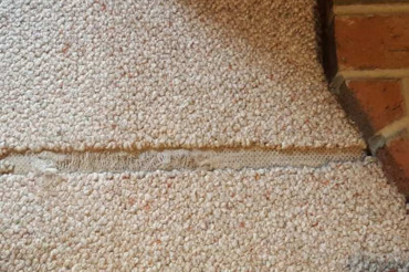 Berber Carpet Repair: Common Problems And Repair Prices